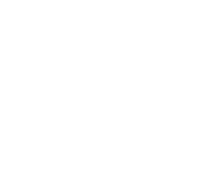 wizio logo blanc
