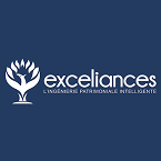 Exceliances et Wizio